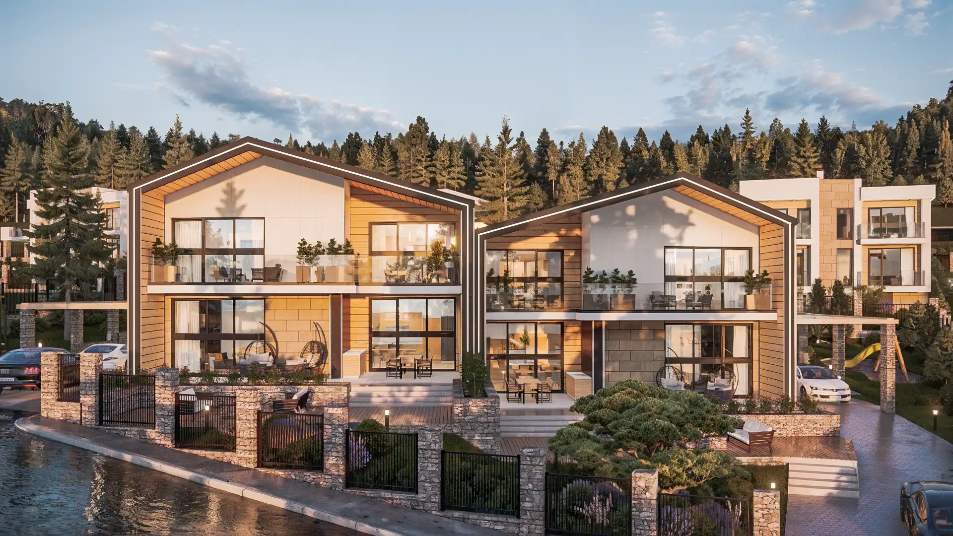 Проект снимка